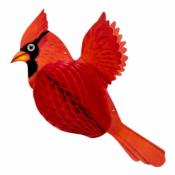 Crveni kardinal 42 cm